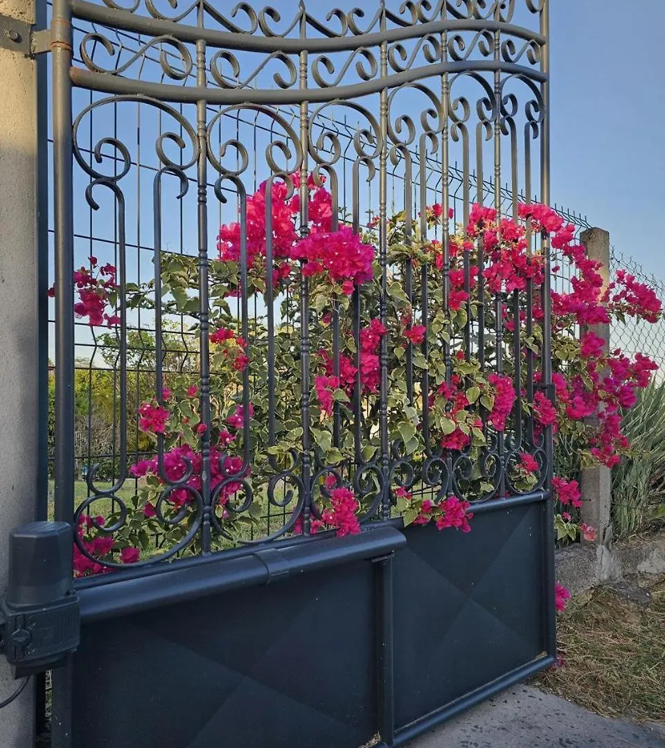 VILLA 6-10 PERS, VUE MER, Piscine Privée, PLAGE A PIEDS Le Gosier  Guadeloupe